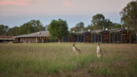 Book Point Stuart Accommodation Vacations Whitsundays Accommodation Whitsundays Accommodation