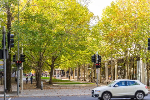 Highgate Executive Apartment City Walk Canberra - Whitsundays Accommodation 37