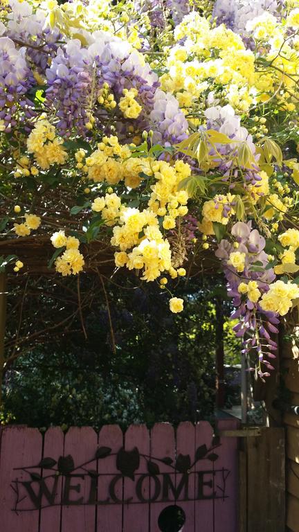 Bowral Road Bed And Breakfast - Whitsundays Accommodation 0