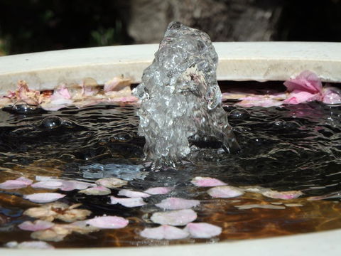 Bowral Road Bed And Breakfast - Whitsundays Accommodation 2