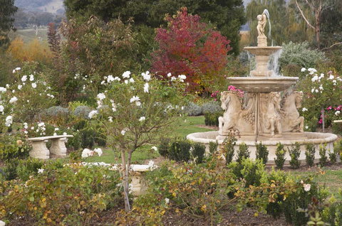 Brookfield Guest House - Whitsundays Accommodation 1