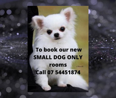 Buderim Fiesta Motel - Whitsundays Accommodation 0