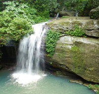 Buderim Forest Hideaway - Whitsundays Accommodation