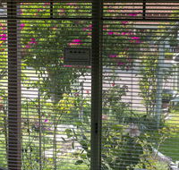 Busselton Marina Bed and Breakfast - Whitsundays Accommodation