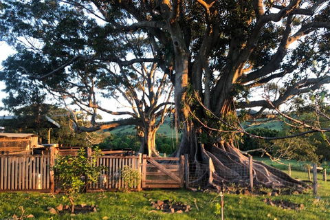 BYRON BAY'S HISTORIC BARNSTAY! - Whitsundays Accommodation 2
