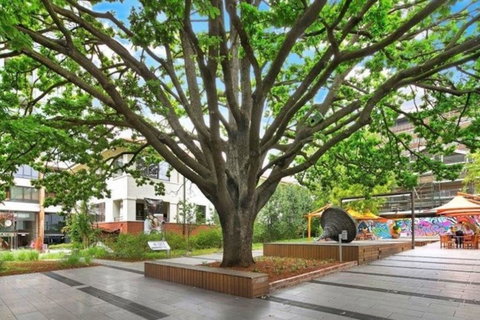 Canberra Luxury Apartment 8 - Whitsundays Accommodation 1