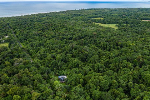 Cape Tribulation Holiday House - Whitsundays Accommodation 1