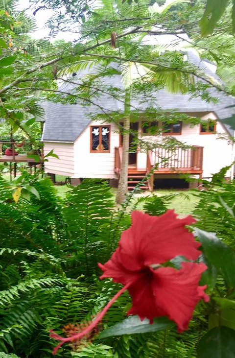 Cape Tribulation Holiday House - Whitsundays Accommodation 3