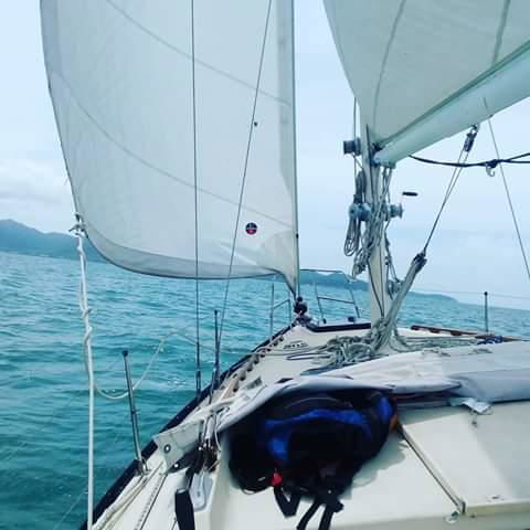 Casual Fare Sailing Charters Townsville - Ocean Living - Cruise - Whitsundays Accommodation 3