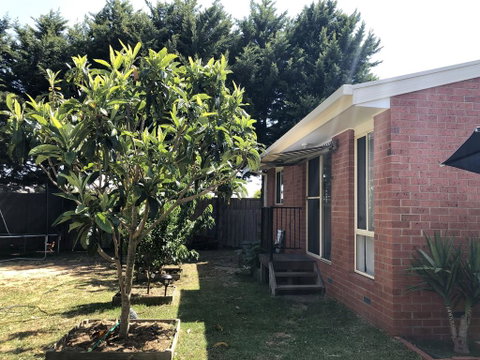 Charlie Sweet Home At Mornington Peninsula - Whitsundays Accommodation 1