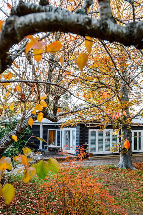 Charming Mountain Cottage - Whitsundays Accommodation 3