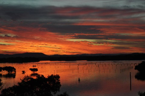 CHILL-OUT LAKESIDE @ FORSTER - Whitsundays Accommodation 3