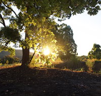 Clarendon Forest Retreat - Whitsundays Accommodation