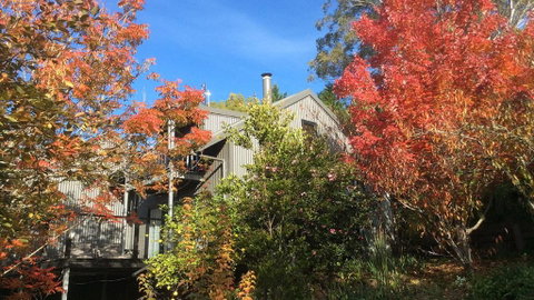 Cloudsong Chalet 4 - Close To The Village Centre! - Whitsundays Accommodation 0