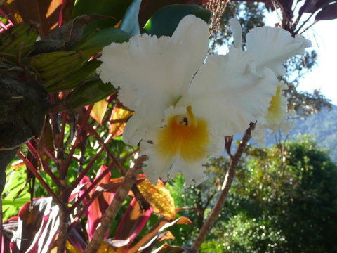Coral Sea Views - Whitsundays Accommodation 2