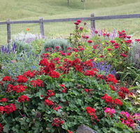 Country Mile Escape - Whitsundays Accommodation