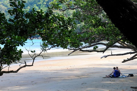 Cow Bay Homestay B&B - Whitsundays Accommodation 1