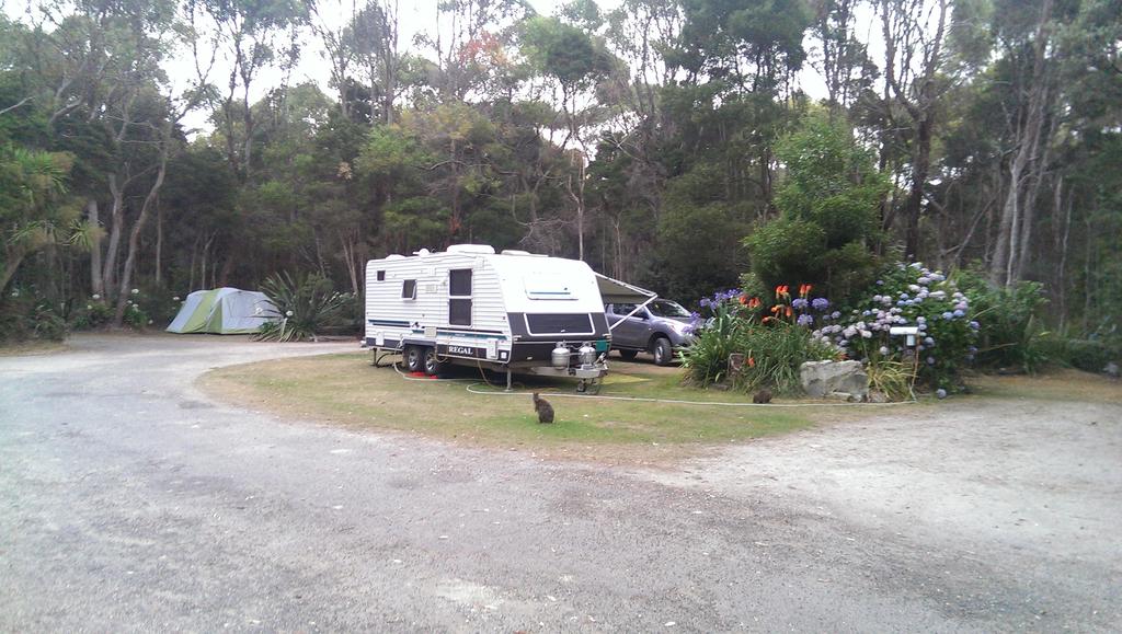 Crayfish Creek TAS Whitsundays Accommodation