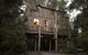Crayfish Creek Van & Cabin Park - thumb 1