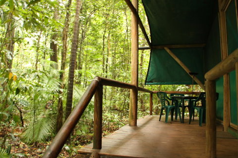 Daintree Crocodylus - Whitsundays Accommodation 1