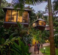 Daintree Ecolodge - Whitsundays Accommodation