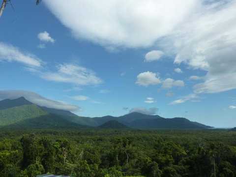 Daintree Holiday Homes - La Vista - Whitsundays Accommodation 3