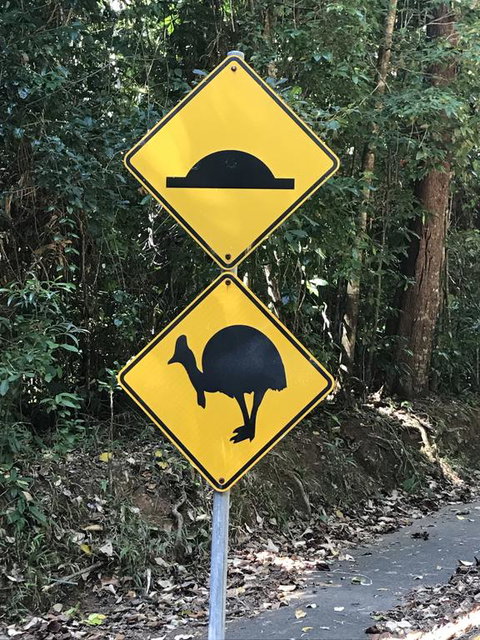 Daintree Magic - Whitsundays Accommodation 1