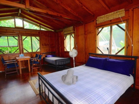 Daintree Rainforest Bungalows - Whitsundays Accommodation 2