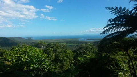 Daintree Village Hideaway - Whitsundays Accommodation 1