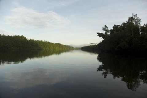 Daintree Village Hideaway - Whitsundays Accommodation 2