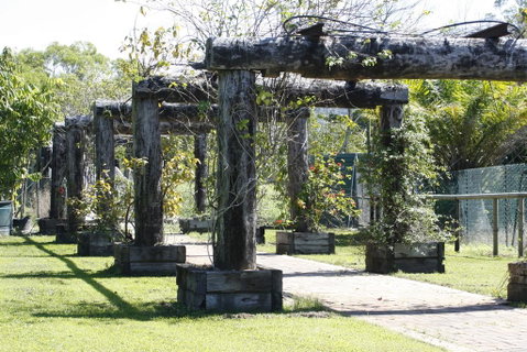 Daintree Wild Bed & Breakfast - Whitsundays Accommodation 2