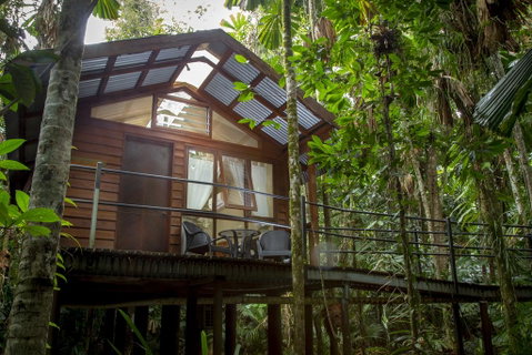 Daintree Wilderness Lodge - Whitsundays Accommodation 2