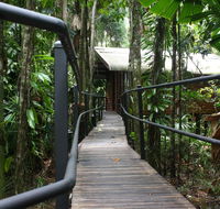 Daintree Wilderness Lodge - Whitsundays Accommodation