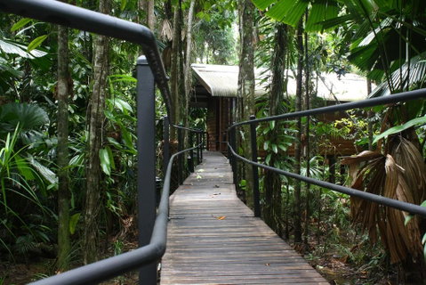 Daintree Wilderness Lodge - Whitsundays Accommodation 0