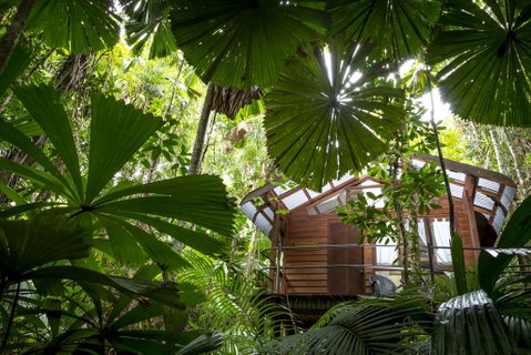 Daintree Wilderness Lodge - Whitsundays Accommodation 1