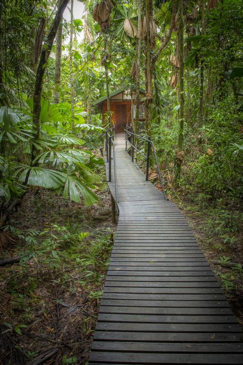 Daintree Wilderness Lodge - Whitsundays Accommodation 3