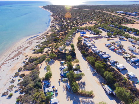 Denham Seaside Caravan Park - Whitsundays Accommodation 0