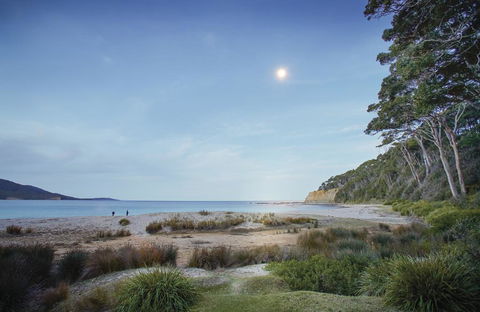 Depot Beach Cabins - Whitsundays Accommodation 1