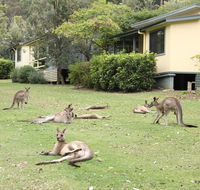 Depot Beach Cabins - Whitsundays Accommodation