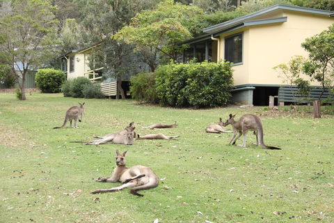 Depot Beach Cabins - Whitsundays Accommodation 0