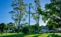 Book Dorrigo Accommodation Vacations Whitsundays Accommodation Whitsundays Accommodation