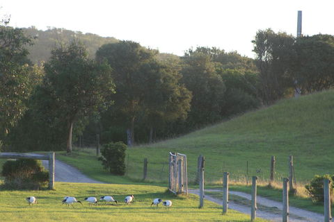 Driftwood Villas - Whitsundays Accommodation 1
