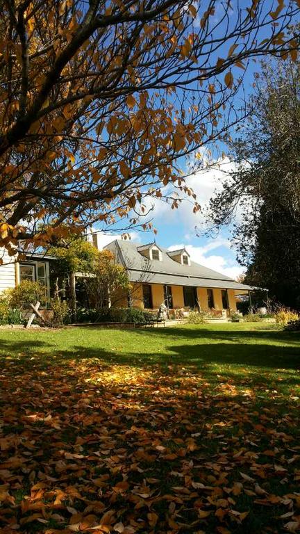 Eling Forest Winery - Whitsundays Accommodation 3