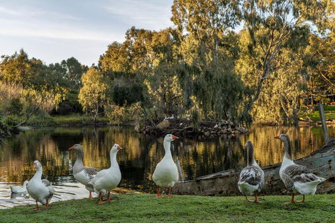 Empire Spa Retreat - Whitsundays Accommodation 2