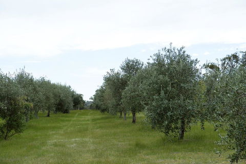 Empire Spa Retreat - Whitsundays Accommodation 1