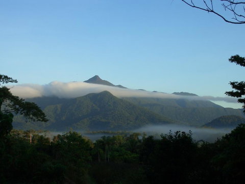 Epiphyte B & B - Whitsundays Accommodation 0