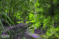 Book Esk Accommodation Vacations Whitsundays Accommodation Whitsundays Accommodation