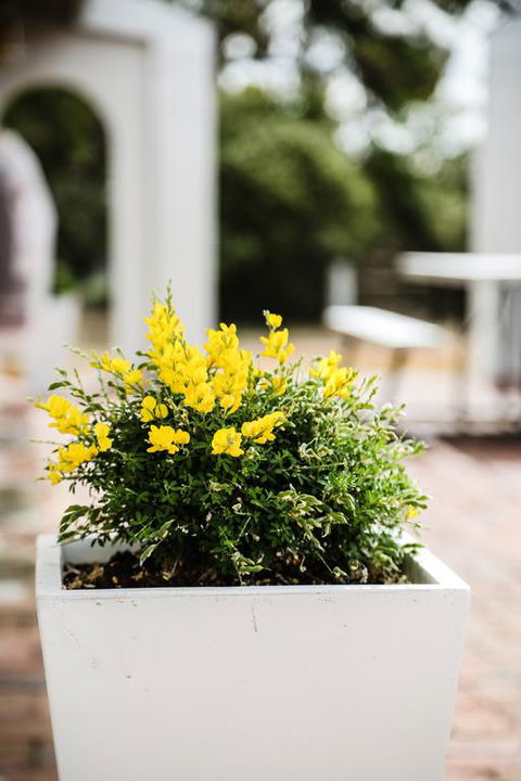 Esperance Coastal Retreat - Whitsundays Accommodation 3