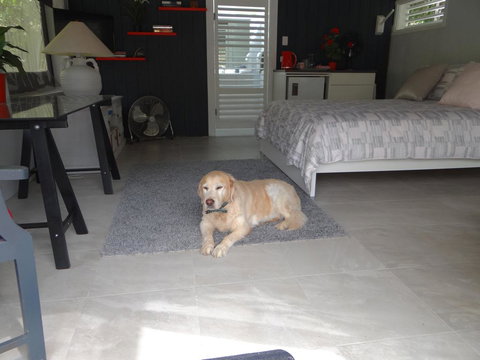 Eumundi Yacht Club B&B - Whitsundays Accommodation 1