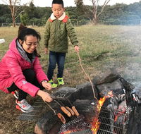 Farm Accommodation - Whitsundays Accommodation